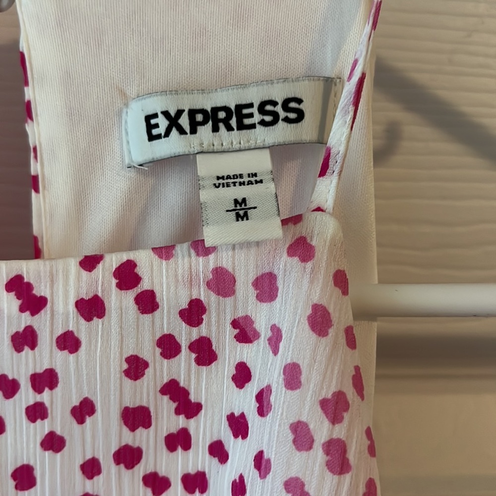 Express Dress - Picture 2 of 4